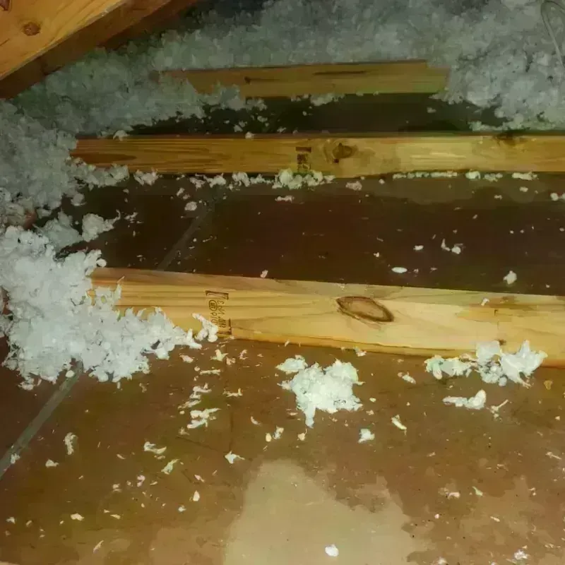 Attic Water Damage in Yorktown, TX