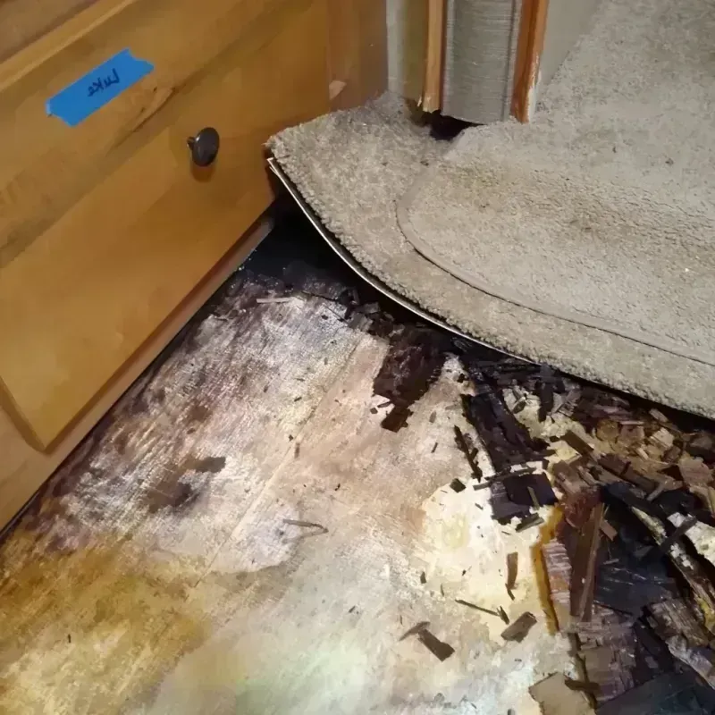 Wood Floor Water Damage in Yorktown, TX